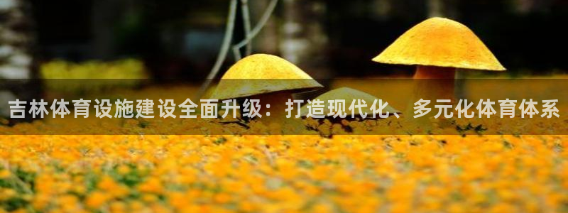 意昂体育4招商电话号码：吉林体育设施建设全面升级：打