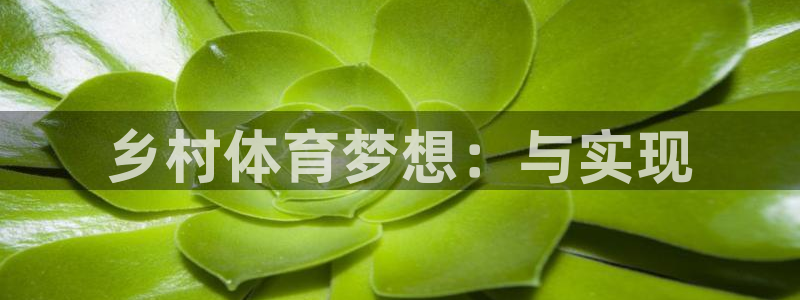 意昂4娱乐40996：乡村体育梦想：与实现