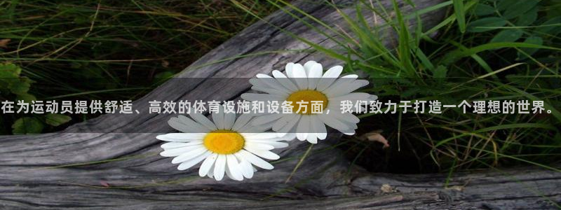意昂体育4招商电话是多少号码：在为运动员提供舒适、高