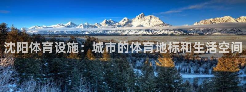 意昂体育4招商电话地址是多少：沈阳体育设施：城市的体