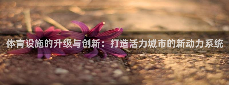 意昂体育4平台假的吗是真的吗：体育设施的升级与创新：