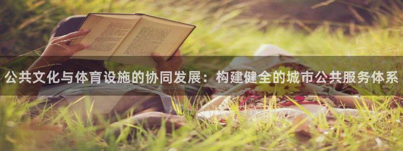 意昂4娱乐代理怎么样：公共文化与体育设施的协同发展：