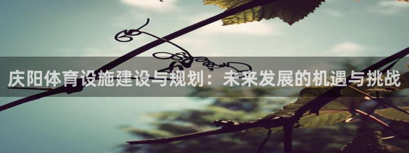 意昂4娱乐首页网站大全：庆阳体育设施建设与规划：未来