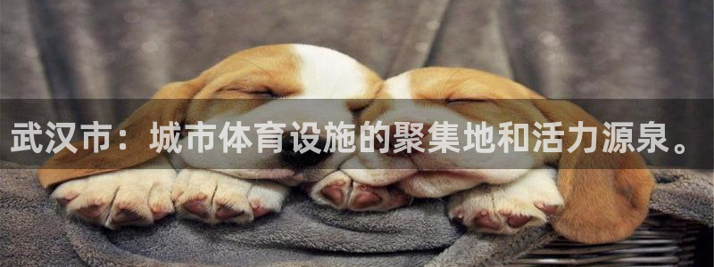 意昂体育4平台APP：武汉市：城市体育设施的聚集地和