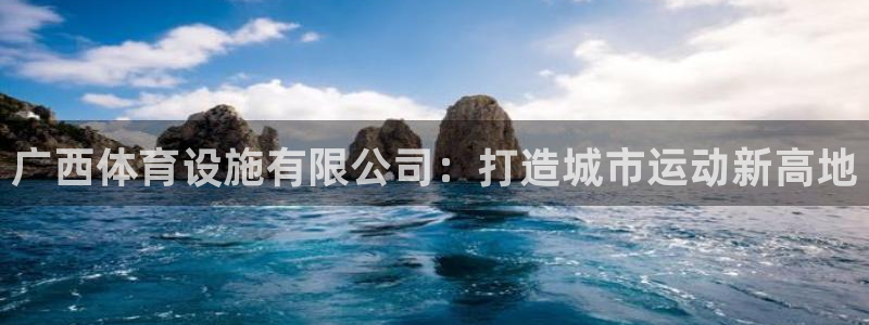 意昂4娱乐首页网站大全：广西体育设施有限公司：打造城