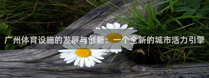 意昂体育4平台注册流程视频：广州体育设施的发展与创新