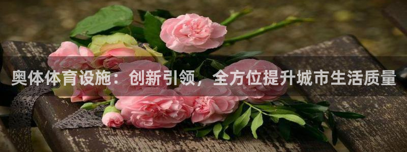 意昂4娱乐网站：奥体体育设施：创新引领，全方位提升城