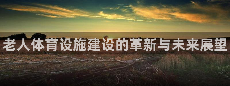 意昂体育4是干嘛的公司：老人体育设施建设的革新与未来