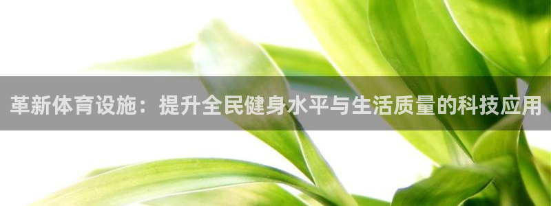 意昂体育4开户：革新体育设施：提升全民健身水平与生活