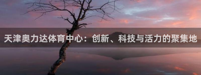 意昂体育4招商电话是多少：天津奥力达体育中心：创新、