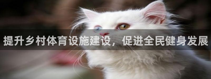 意昂4五金厂：提升乡村体育设施建设，促进全民健身发展