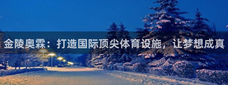 意昂4开户：金陵奥霖：打造国际顶尖体育设施，让梦想成