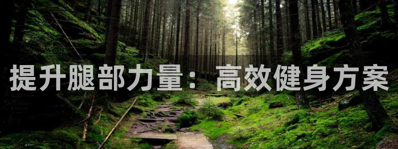 意昂体育4注册：提升腿部力量：高效健身方案