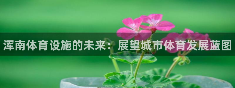 意昂体育4平台是正规平台吗知乎：浑南体育设施的未来：