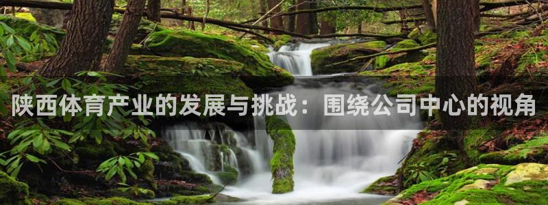 意昂4代理：陕西体育产业的发展与挑战：围绕公司中心的
