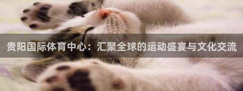 意昂4娱乐下载：贵阳国际体育中心：汇聚全球的运动盛宴