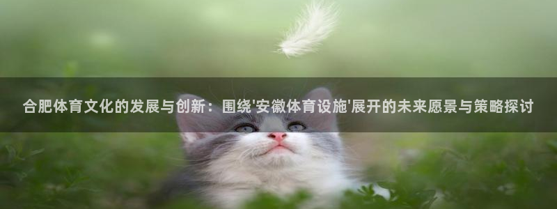意昂体育4平台注册：合肥体育文化的发展与创新：围绕\