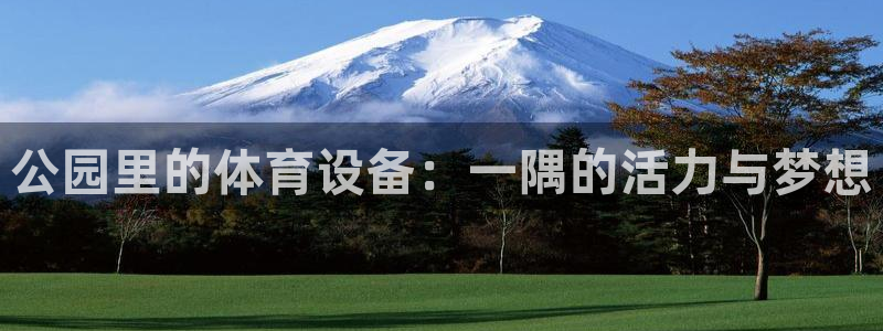 意昂4集团logo：公园里的体育设备：一隅的活力与梦