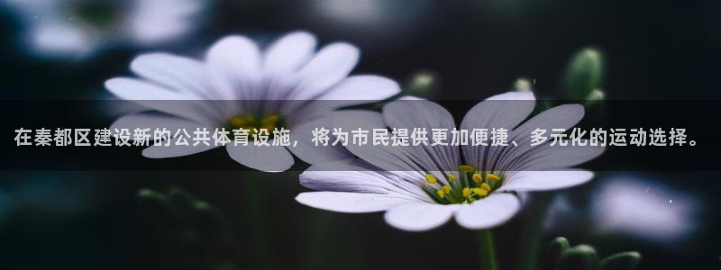 意昂4娱乐首页网站大全：在秦都区建设新的公共体育设施