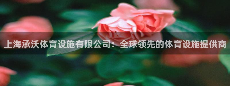 意昂4集团官网首页：上海承沃体育设施有限公司：全球领