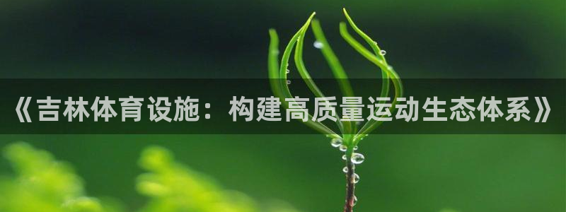 意昂体育4平台注册要钱吗安全吗：《吉林体育设施：构建