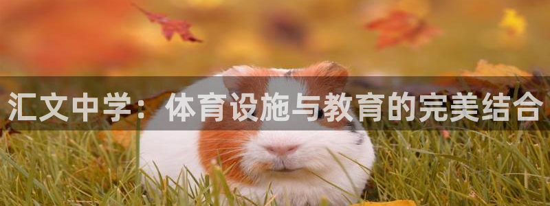 意昂4集团logo：汇文中学：体育设施与教育的完美结