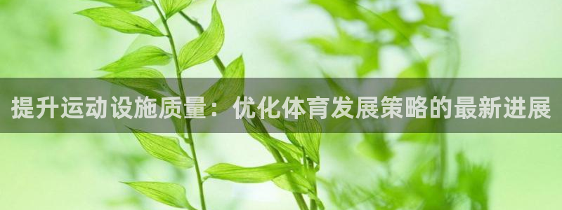 海南意昂体育4：提升运动设施质量：优化体育发展策略的