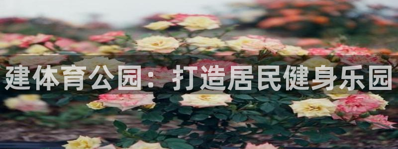 意昂4官方：建体育公园：打造居民健身乐园