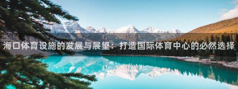 海南意昂体育4：海口体育设施的发展与展望：打造国际体育中心的 