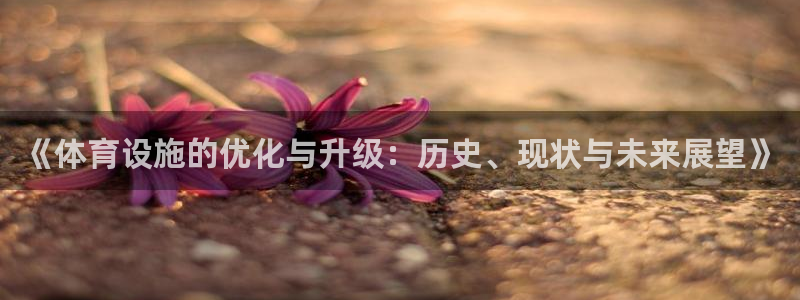 海南意昂体育4：《体育设施的优化与升级：历史、现状与