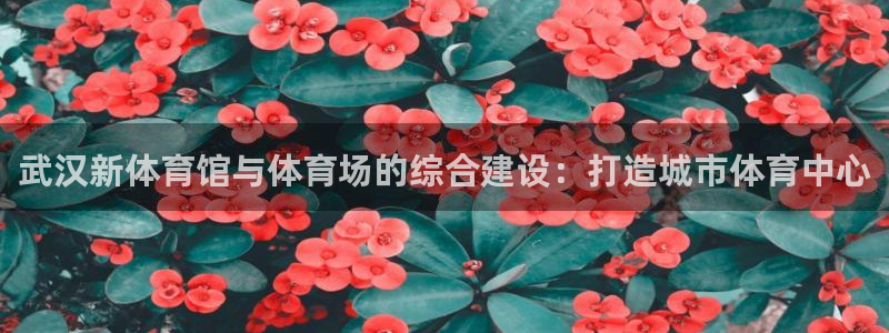 意昂体育4开户