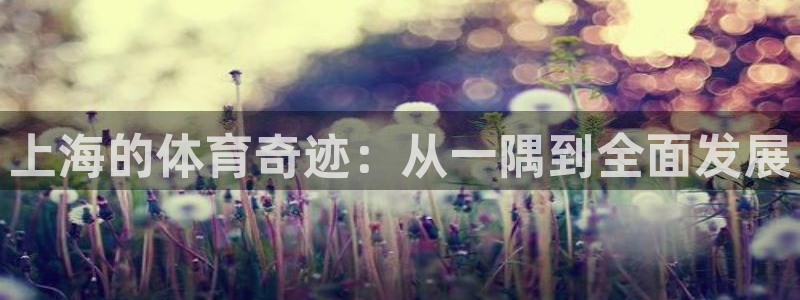 意昂体育4招商电话号码是多少：上海的体育奇迹：从一隅到全面发