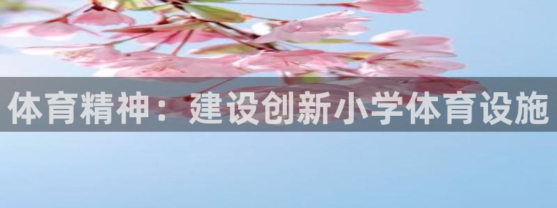 意昂4集团：体育精神：建设创新小学体育设施 