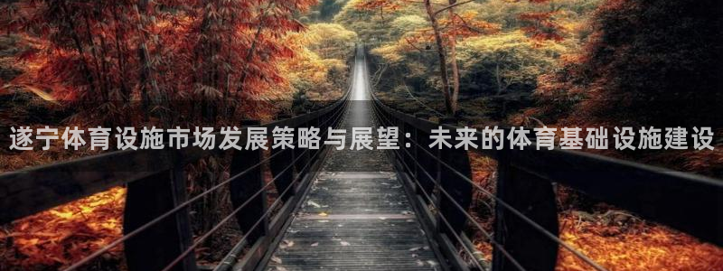 意昂体育4平台是正规平台吗：遂宁体育设施市场发展策略与展望：