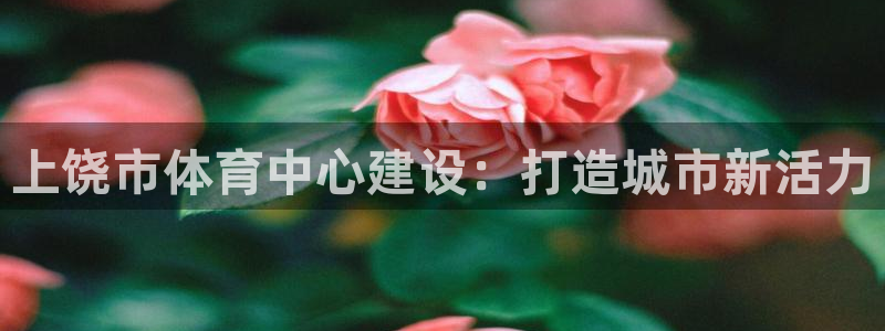 意昂体育4注册：上饶市体育中心建设：打造城市新活力 
