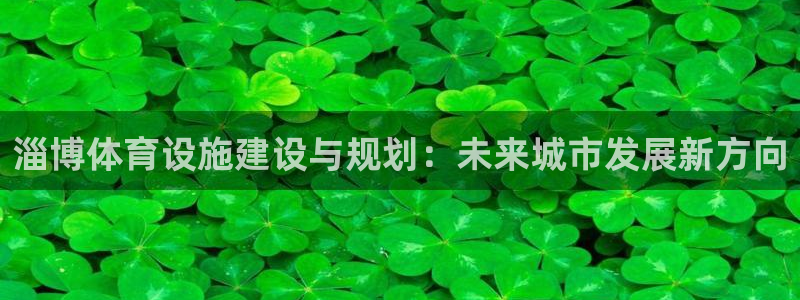 意昂体育4官方客服电话：淄博体育设施建设与规划：未来城市发展