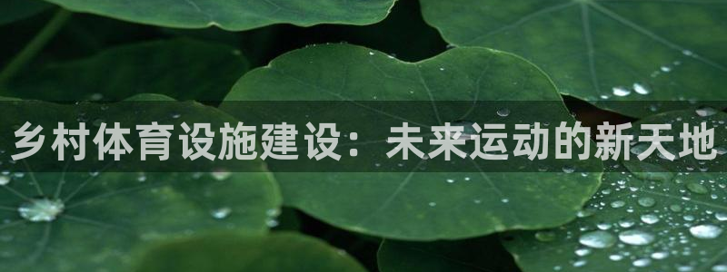 意昂4娱乐是那个系列的台子：乡村体育设施建设：未来运动的新天