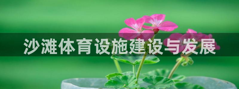 意昂体育4官方客服电话：沙滩体育设施建设与发展 
