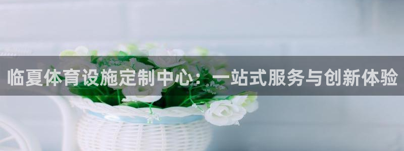 意昂体育4：临夏体育设施定制中心：一站式服务与创新体验 
