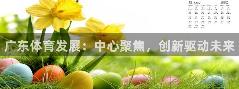 德国意昂4集团：广东体育发展：中心聚焦，创新驱动未来