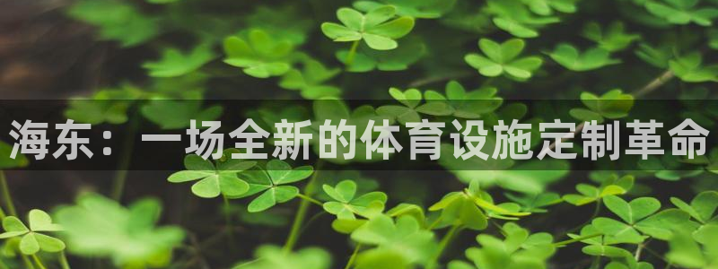 意昂体育4招商电话号码是多少啊：海东：一场全新的体育设施定制