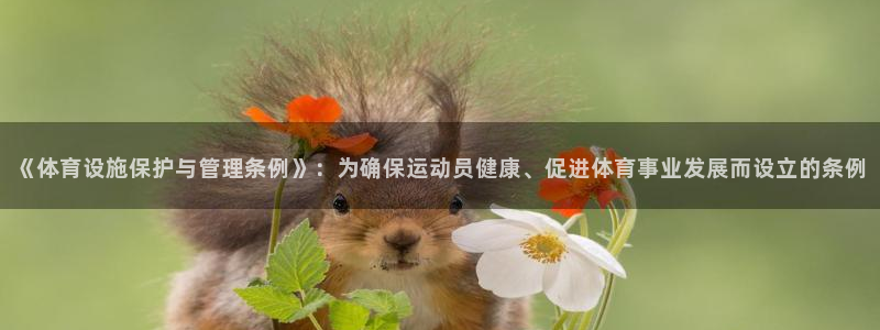 意昂体育4是干嘛的公司