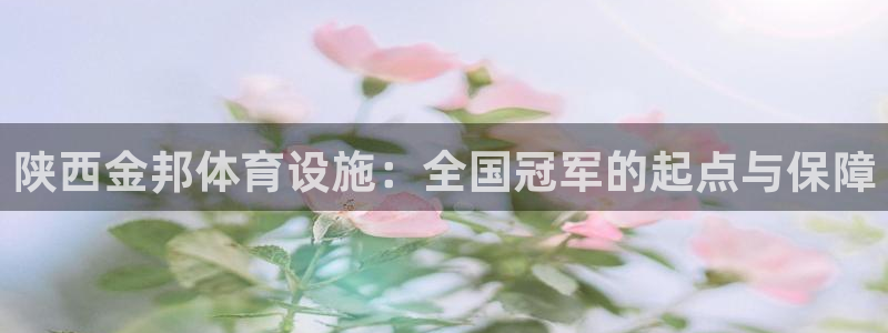 意昂4娱乐40996：陕西金邦体育设施：全国冠军的起