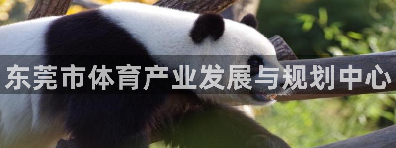 意昂4娱乐代理怎么样：东莞市体育产业发展与规划中心