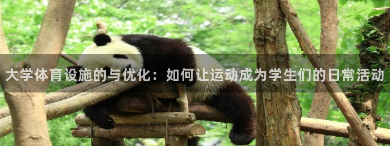 意昂体育4招商：大学体育设施的与优化：如何让运动成为