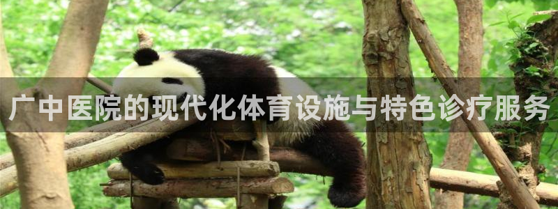 意昂4集团官网首页网址：广中医院的现代化体育设施与特