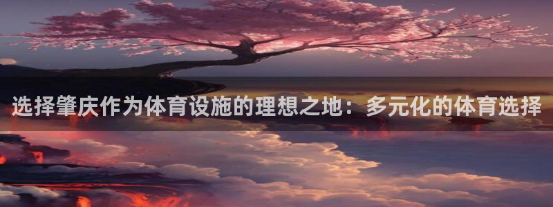 意昂体育4招商：选择肇庆作为体育设施的理想之地：多元