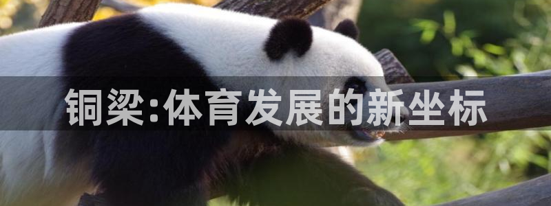 意昂4神州：铜梁:体育发展的新坐标