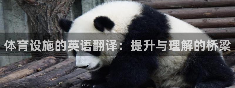 意昂4娱乐代理怎么样：体育设施的英语翻译：提升与理解