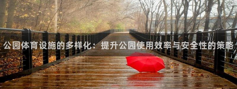 意昂体育4招商：公园体育设施的多样化：提升公园使用效